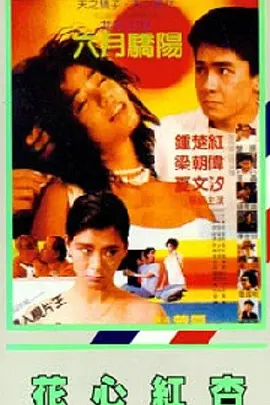 欧美精品视频在线高清