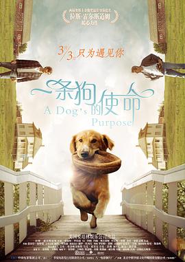 在线不卡一区二区三区日韩