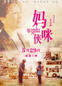 中文精品久久久久中文