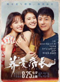 欧美午夜色大片在线观看免费