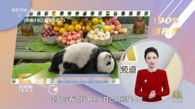 胸围自拍